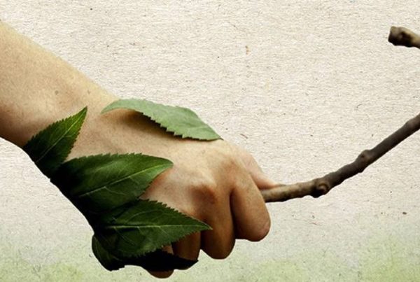 Instrução Normativa 43/2020 e a Gestão de Multas