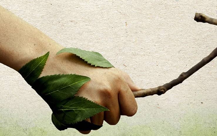 Instrução Normativa 43/2020 e a Gestão de Multas