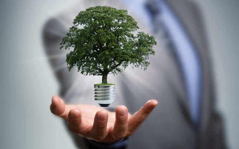 Palestra: Economicidade X Sustentabilidade